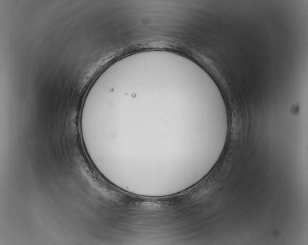 X0000116260394200912291501
