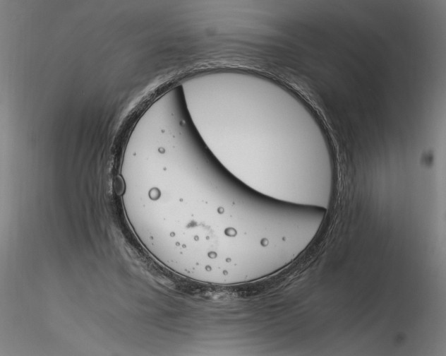 X0000116260395200912291501