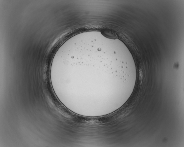X0000116260396200912291501