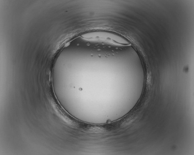 X0000116260397200912291501