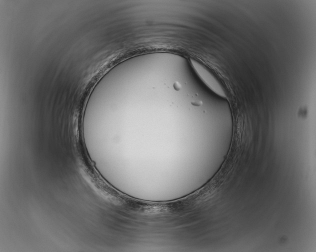 X0000116260398200912291501