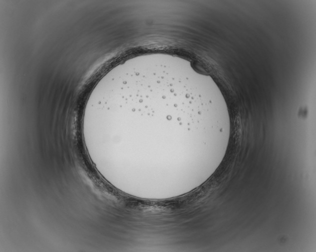 X0000116260400200912291501