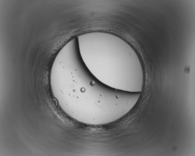 X0000116260401200912291501