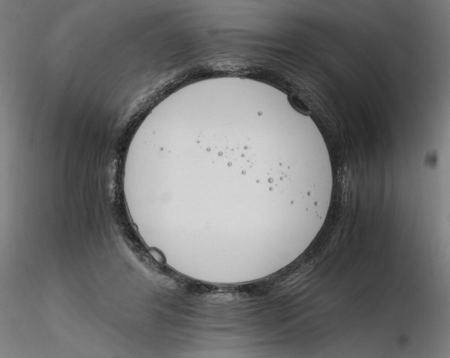 X0000116260404200912291501