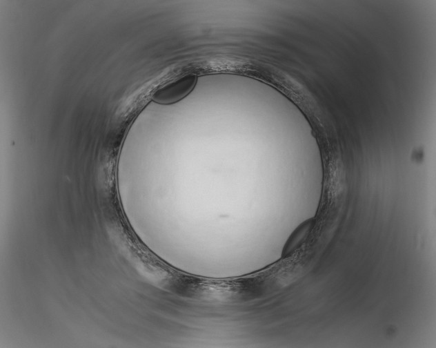 X0000116260405200912291501