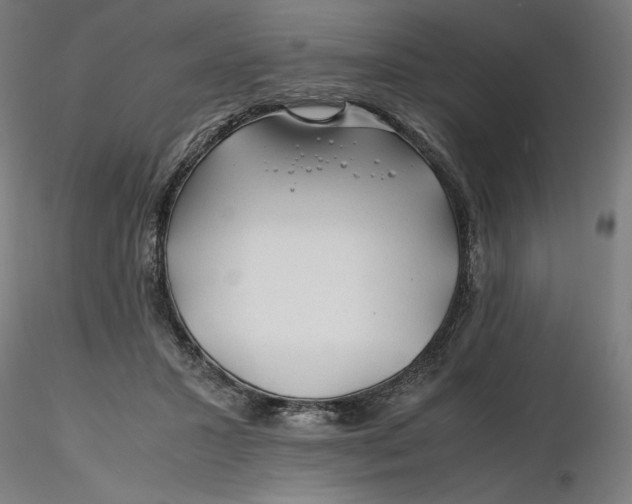X0000116260407200912291501