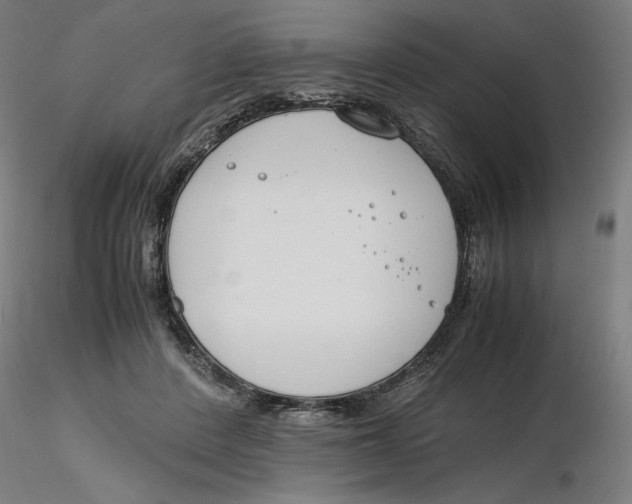 X0000116260408200912291501