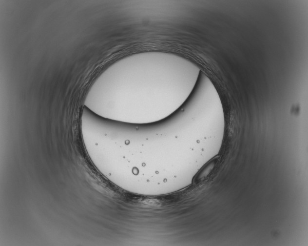 X0000116260409200912291501