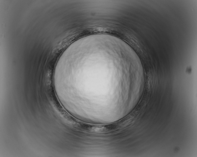 X0000116260410200912291501