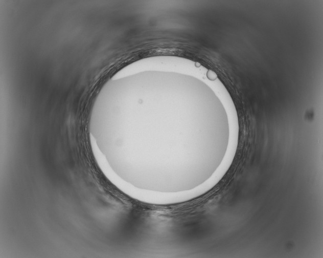 X0000116260411200912291501