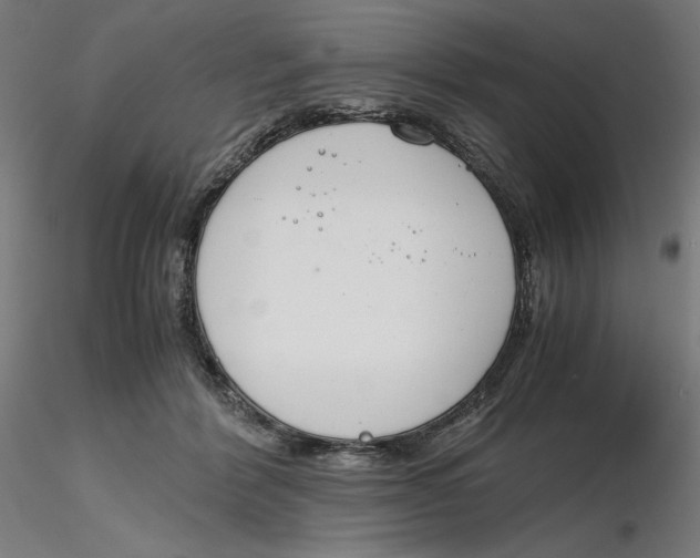 X0000116260412200912291500