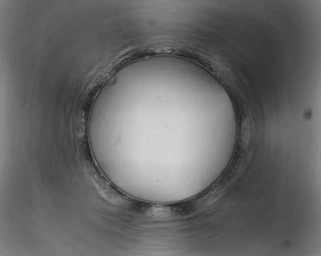 X0000116260413200912291500