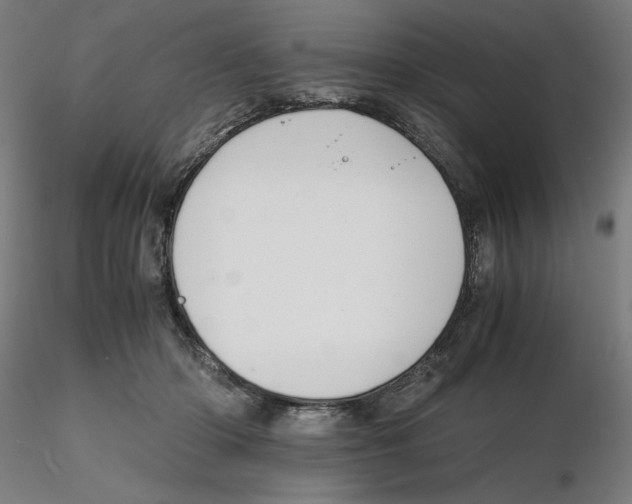 X0000116260414200912291500