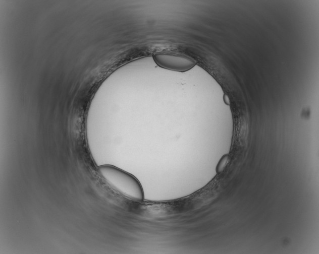 X0000116260417200912291500