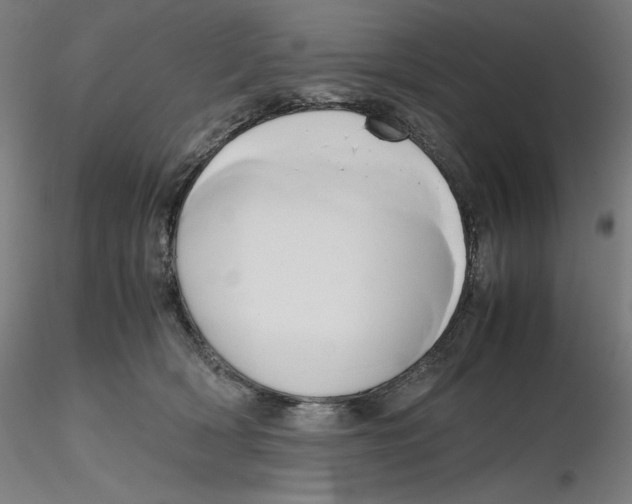 X0000116260418200912291500