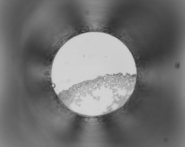 X0000116260419200912291500