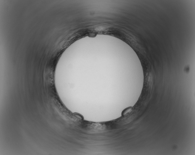X0000116260421200912291500