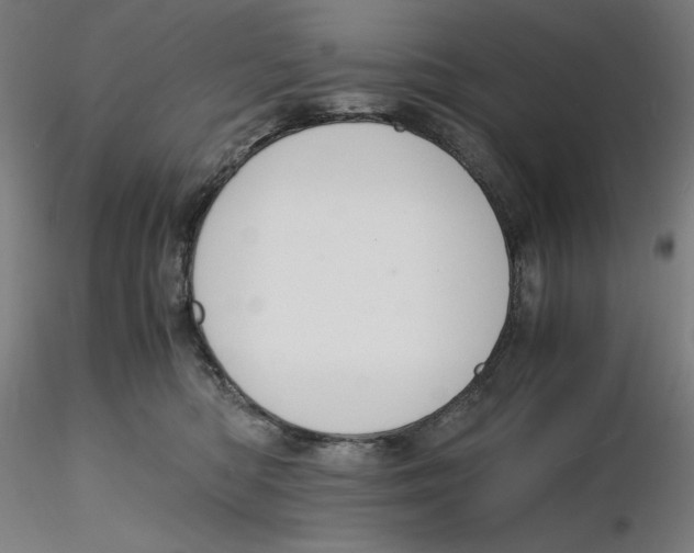 X0000116260422200912291500