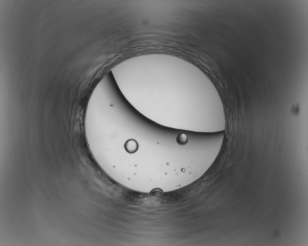X0000116260423200912291500