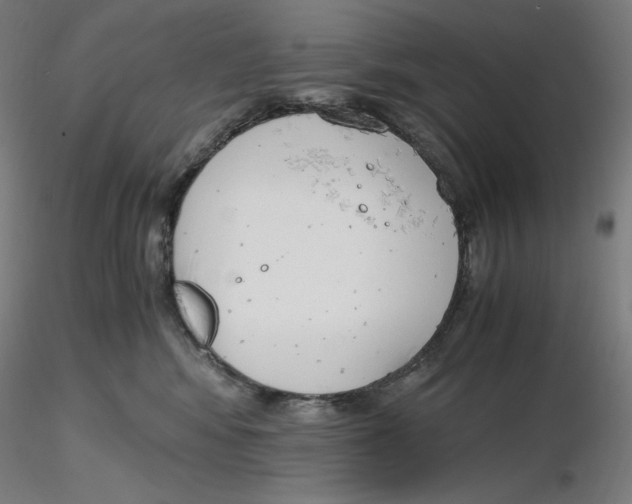 X0000116260424200912291500