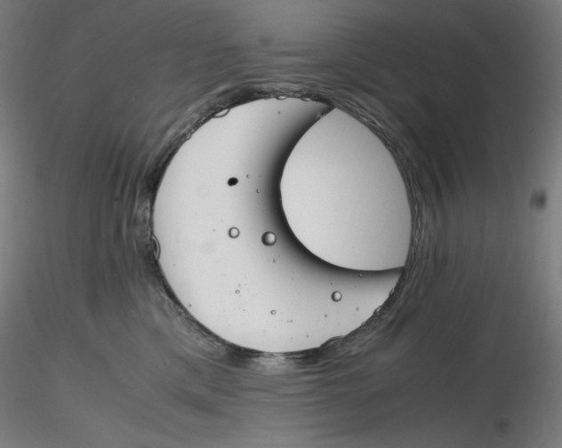 X0000116260425200912291500