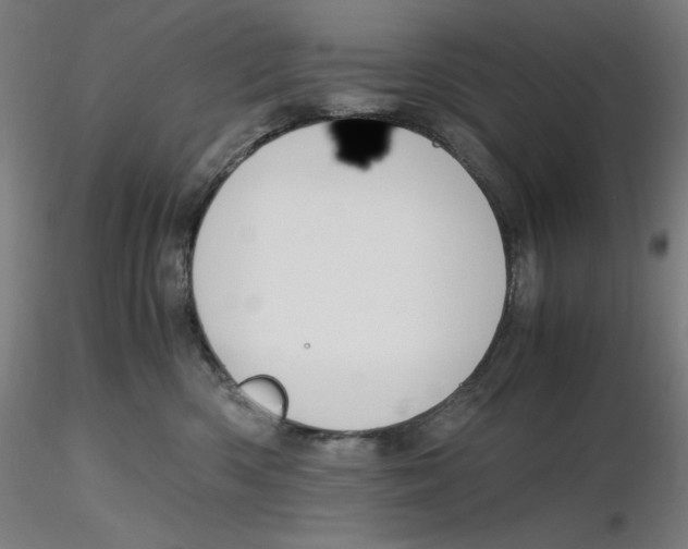 X0000116260426200912291500