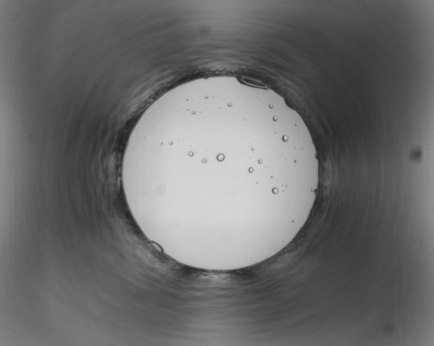 X0000116260428200912291500