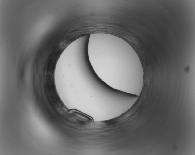 X0000116260429200912291500