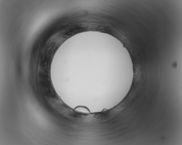 X0000116260430200912291500