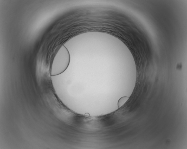 X0000116260431200912291500