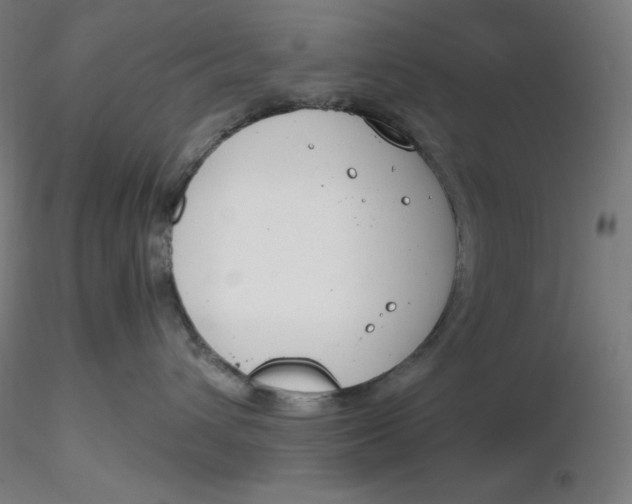 X0000116260432200912291500