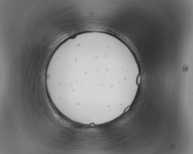 X0000116260433200912291500