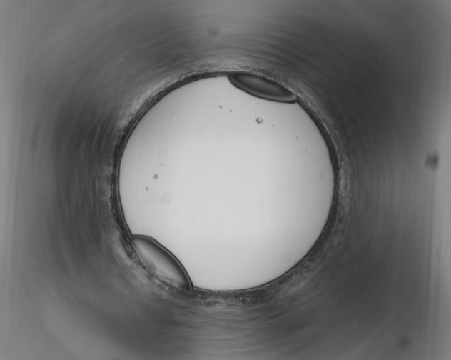 X0000116260434200912291500