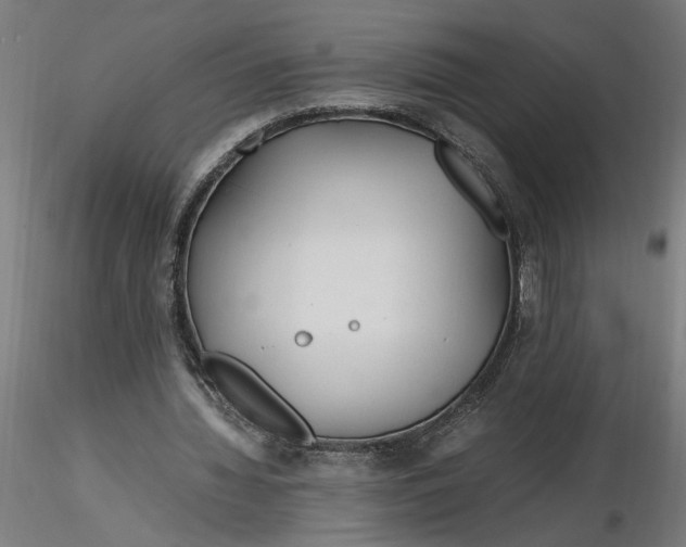 X0000116260436200912291500