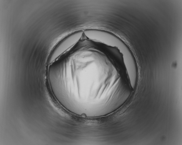 X0000116260438200912291500
