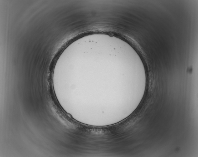 X0000116260439200912291500