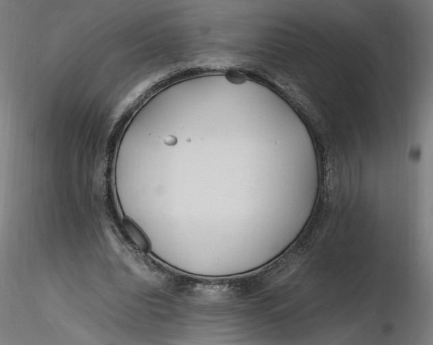 X0000116260440200912291500