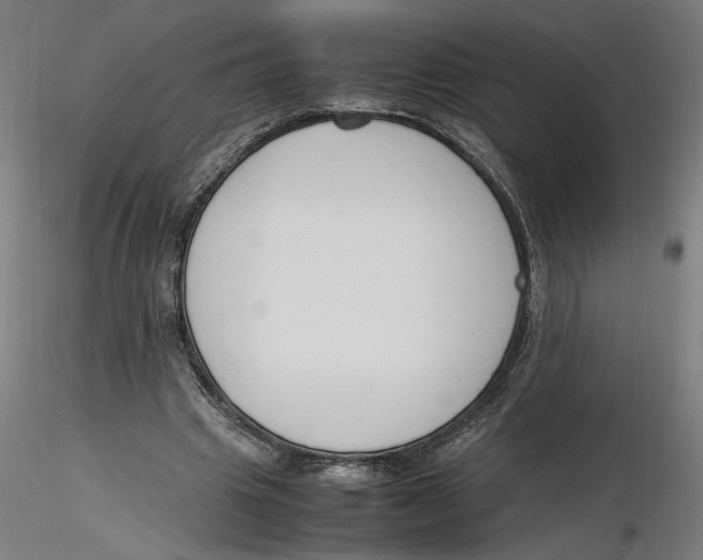 X0000116260441200912291500