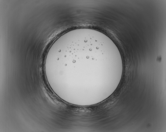 X0000116260443200912291500