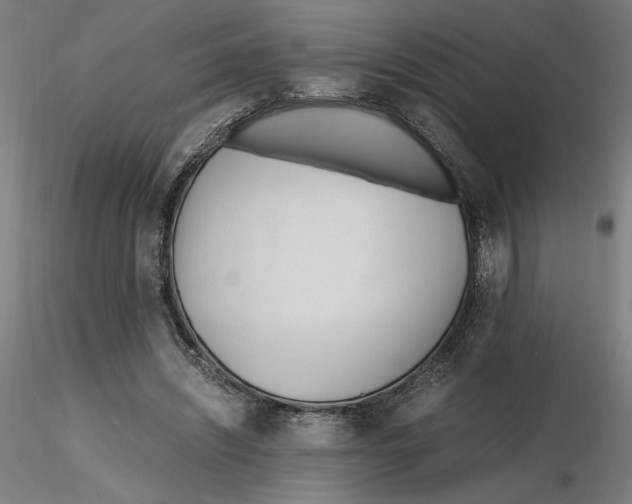 X0000116260444200912291500