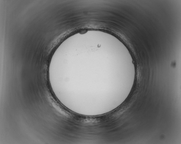 X0000116260445200912291500