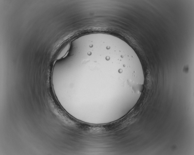 X0000116260446200912291500