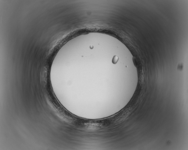 X0000116260448200912291500