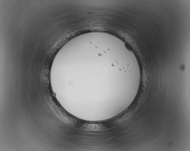 X0000116260449200912291500