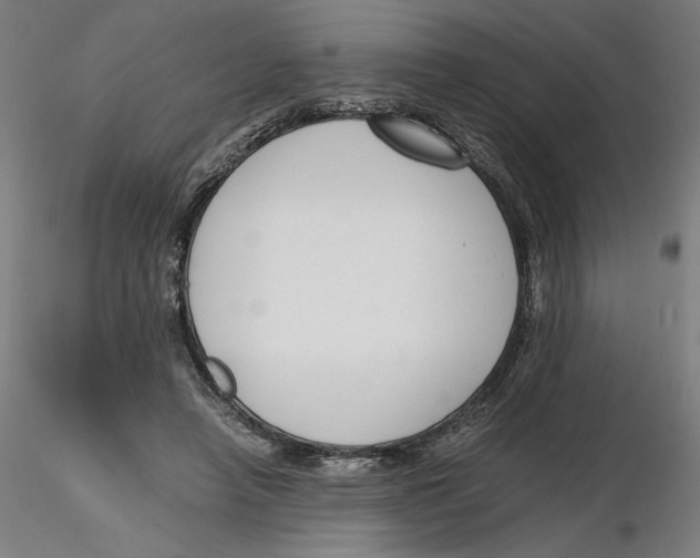 X0000116260450200912291500