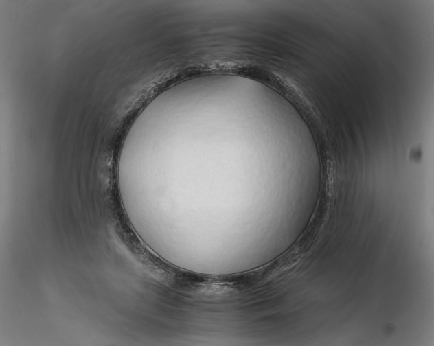 X0000116260451200912291500