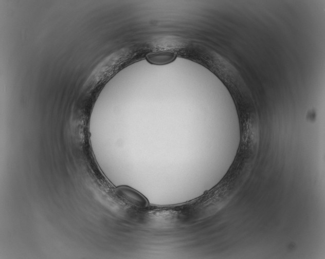 X0000116260452200912291500