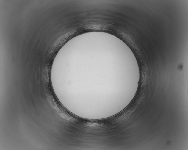 X0000116260453200912291500