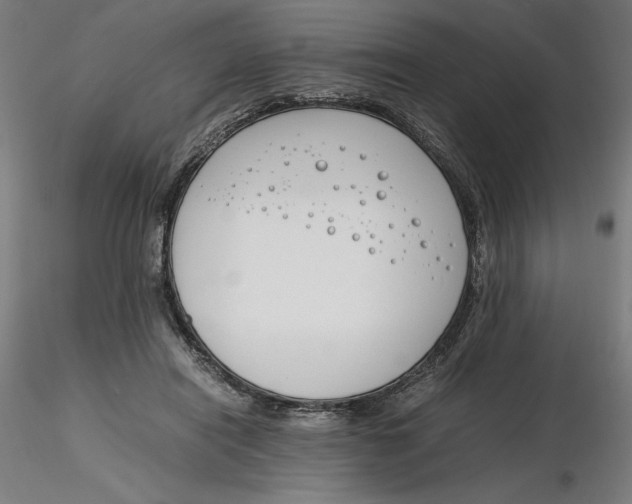 X0000116260454200912291500