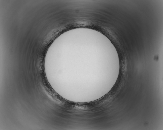 X0000116260455200912291500